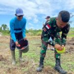 Tingkatkan Ketahanan Pangan di Wilayah Perbatasan, Satgas Yonif 512/QY Kompak bersama Babinsa dan Masyarakat Tanam Jagung