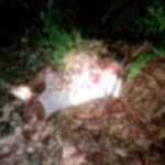 Tim Gabungan Satgas Ops Damai Cartenz-2024, Brimob Polda Papua dan Polres Yahukimo Kejar KKB Pelaku Pembunuhan Warga Sipil di Yahukimo