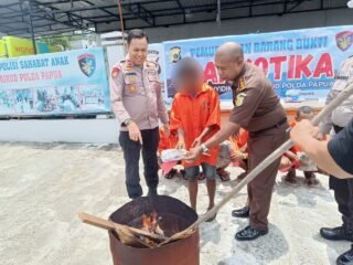 Polda Papua Musnahkan Barang Bukti Narkotika Jenis Ganja