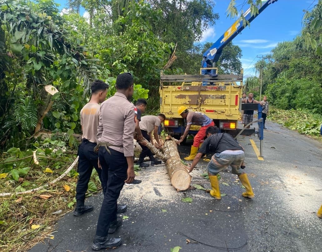 Gerak Cepat, Polres Keerom Polda Papua bersama Masyarakat Evakuasi Pohon Tumbang
