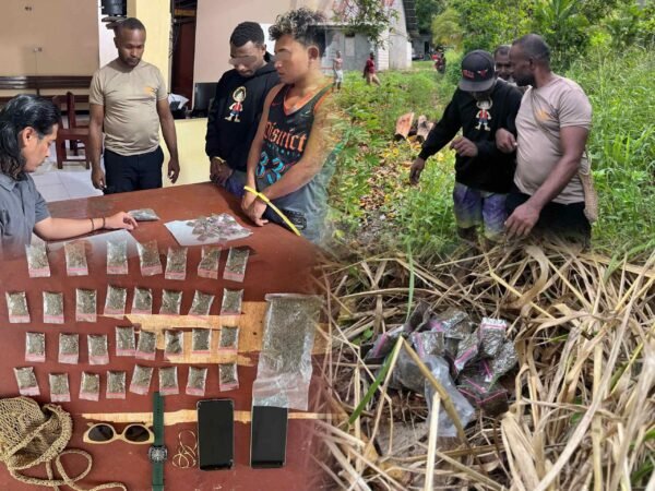Polsek Demta Polda Papua Berhasil Tangkap 2 Pelaku Pengedar Narkotika Jenis Ganja