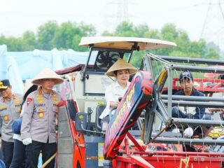 Kapolri-Ketua Komisi IV Pimpin Panen Raya Jagung Serentak, Wujud Nyata Dukung Ketahanan Pangan Nasional