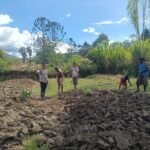 Polsek Asologaima Laksanakan Program Pekarangan Pangan Bergizi