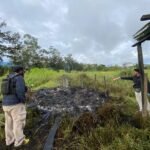 Penemuan Mayat di Jalan Moai, Polsek Wamena Kota Evakuasi Korban Perang Suku