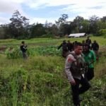 Polsek Wamena Kota Evakuasi Jenazah Korban Bentrok Sosial Antar Suku