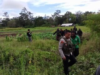 Polsek Wamena Kota Evakuasi Jenazah Korban Bentrok Sosial Antar Suku