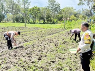 Polsek Kawasan Bandara Wamena Cek Lahan Jagung Program Ketahanan Pangan