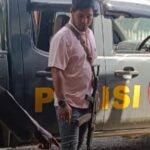 Polres Jayawijaya Tindak Lanjuti Dugaan Pencurian Hewan Ternak di Wamena