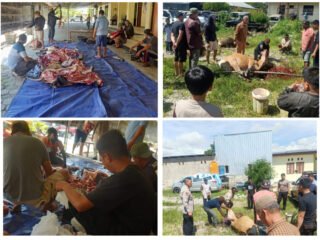 Pelaksanaan Sholat Idul Adha Dan Pemotongan Hewan Kurban di Lingkungan Polres Jayawijaya