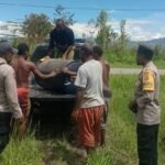 Polsek kurulu lakukan pengecekan lahan jagung kuartal ii dan serahkan bantuan sarana produksi
