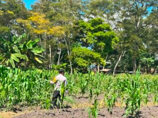 Mendukung Ketahanan Pangan, Polsek Kawasan Bandara menggandeng Kelompok Tani wasagen