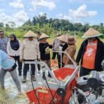 Dukung Ketahanan Pangan Nasional, Kapolsek Bonggo Turun Langsung Tanam dan Panen Padi Bersama Petani