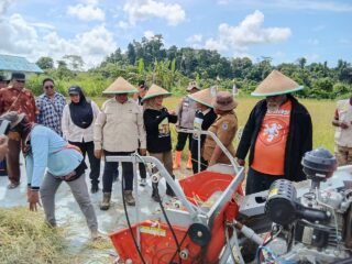 Dukung Ketahanan Pangan Nasional, Kapolsek Bonggo Turun Langsung Tanam dan Panen Padi Bersama Petani