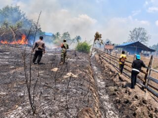 Polsek Kurik dan Tim Gabungan Bergerak Cepat Tangani Karhutla
