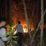 Sinergi TNI-Polri dan Warga, Karhutla di Yanggandur Berhasil Dipadamkan