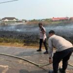 Karhutla di Jalan Kaliwedah 1 Sempat Dekati Permukiman, Polres Merauke Bersama Damkar dan BPBD Bergerak Cepat