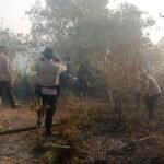 Respons Cepat Polri Bersama TNI dan BPBD, Karhutla di Padwa Sup Berhasil Dipadamkan