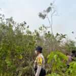 Polres Biak Numfor Bergerak Cepat Tangani Karhutla di Kampung Urfu Sub Yendidori
