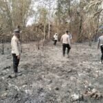 Cegah Kebakaran Susulan, Kapolsek Kurik Bersama Anggota Padamkan Titik Api di Bekas Kebakaran Lahan