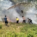 Cegah Api Meluas, Polsek Kurik Bersinergi dengan TNI dan Warga Tangani Karhutla